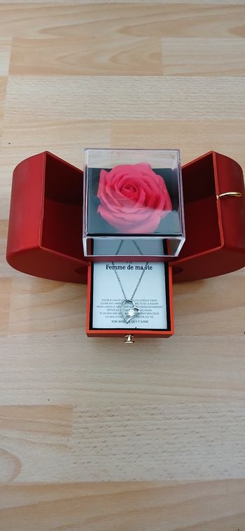 Rose éternelle avec collier en argent