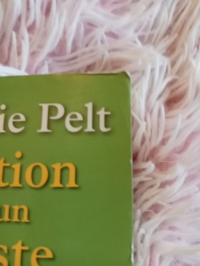 Livre - photo numéro 3