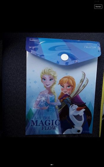 Pochette /enveloppe taille A6 disney - reine des neiges /frozen