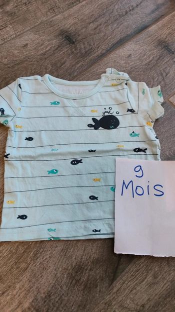 T-shirt manches courtes thème poissons