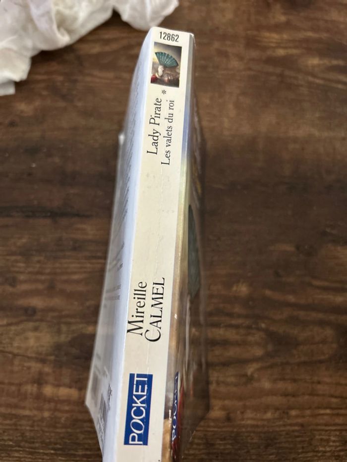 Lady Pirate - photo numéro 3