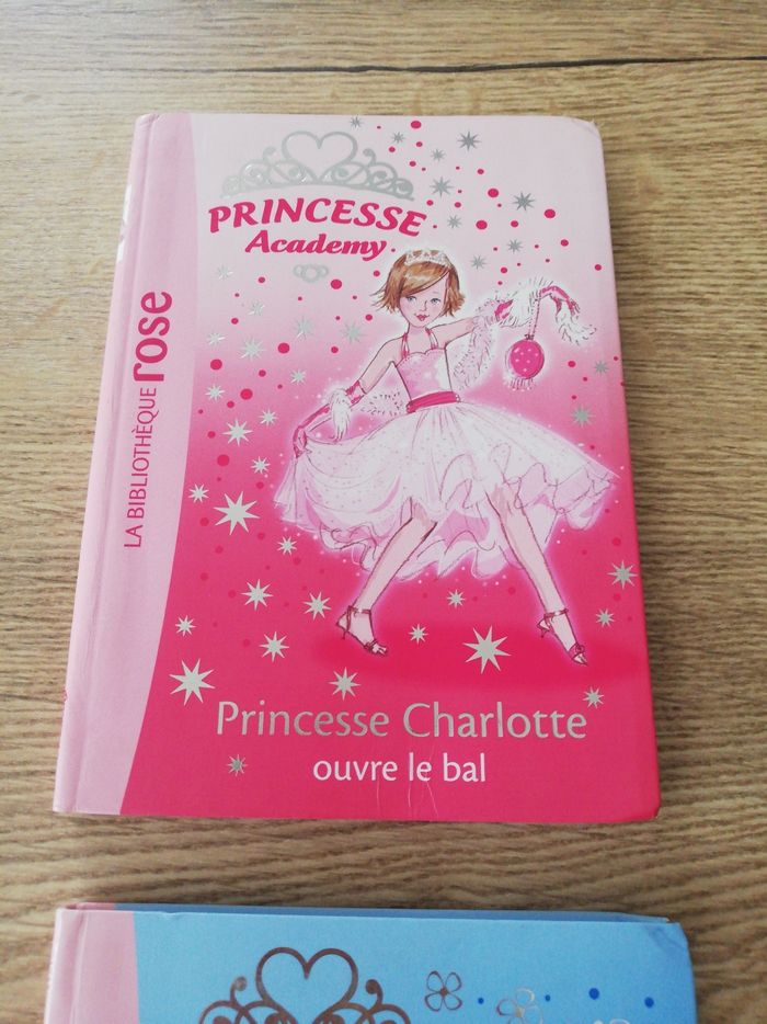 Livre Princesse Academy - photo numéro 3