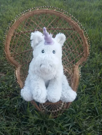 Bouillote licorne