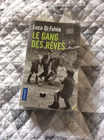#le gang des rêves Luca Di Fulvio )