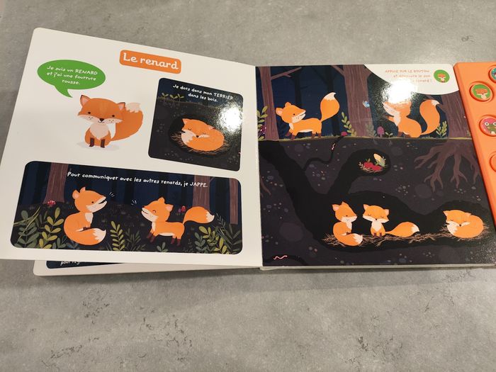 Livre musical bébé – Auzou Éveil – Animaux de la nuit - photo numéro 4