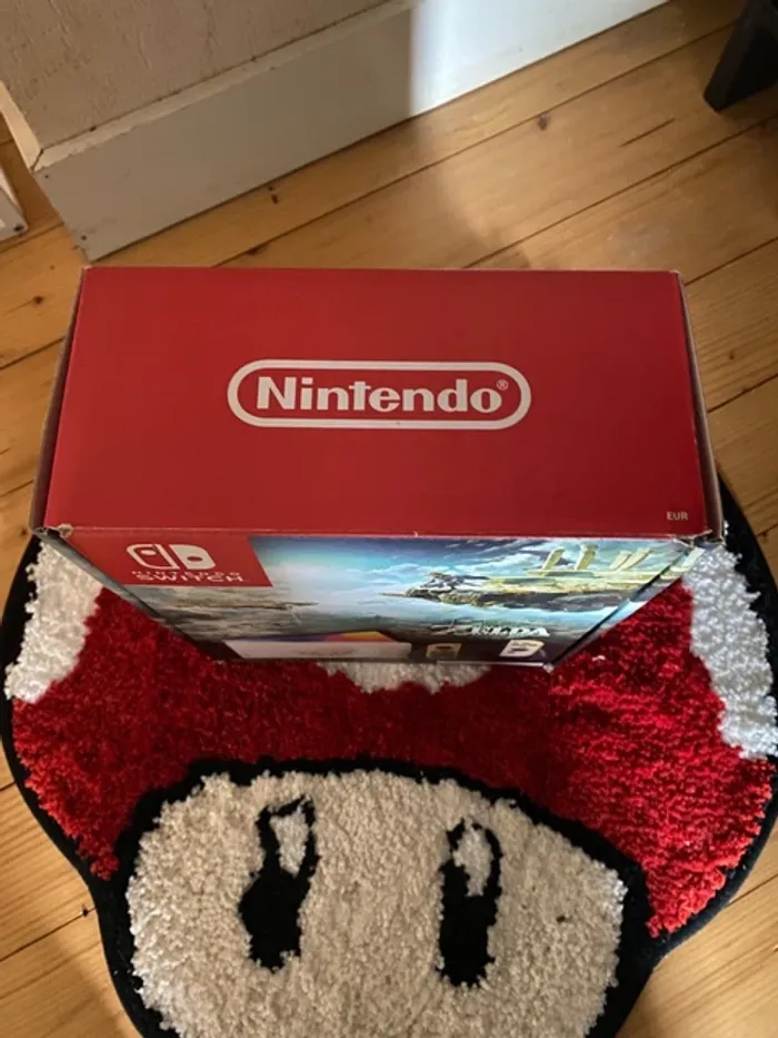 Nintendo - photo numéro 8