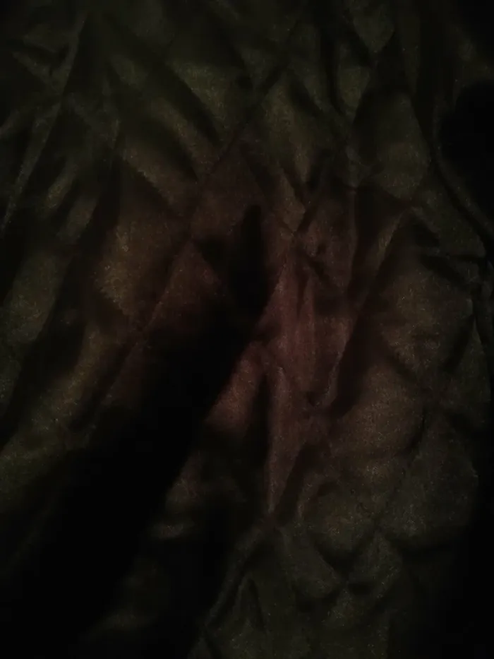 Veste Femme En croûte Marron - photo numéro 4