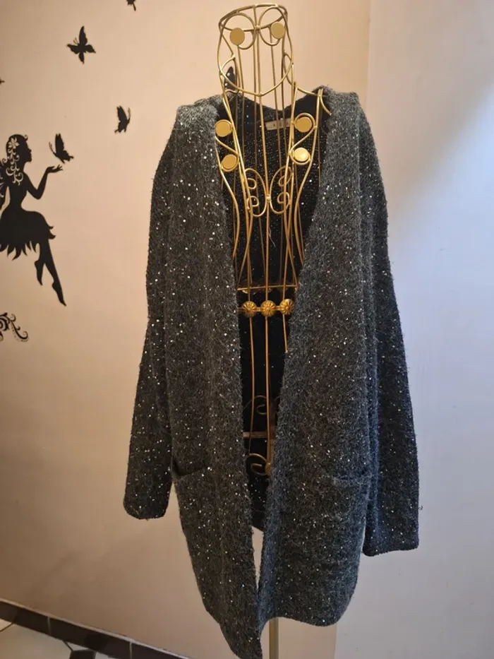 Gilet gris & sequins - photo numéro 2
