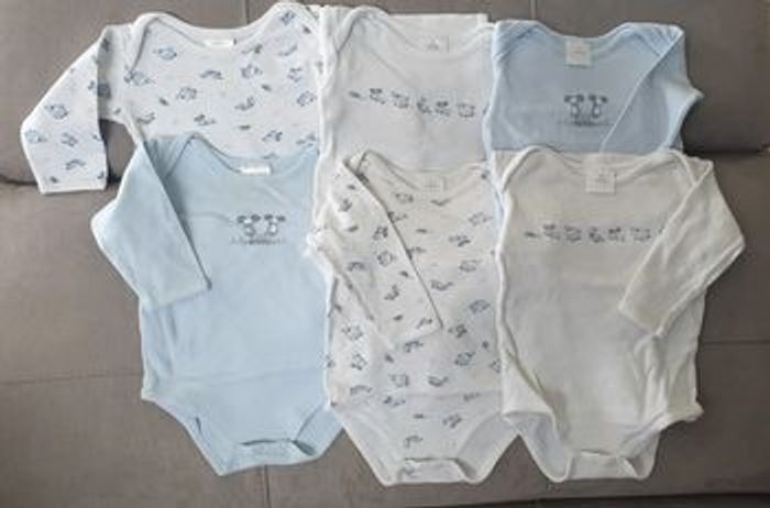 Lot 6 bodies
