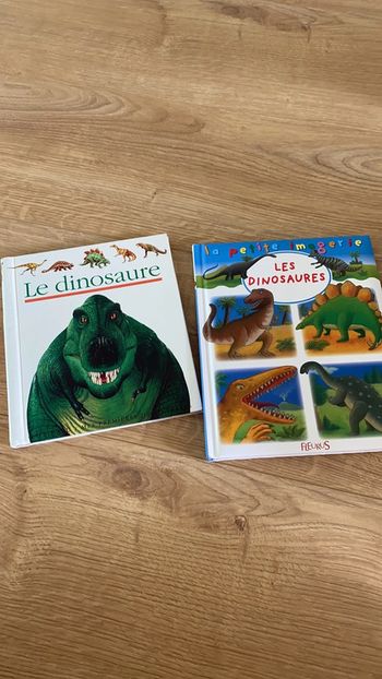 Lot de deux livres dinosaures