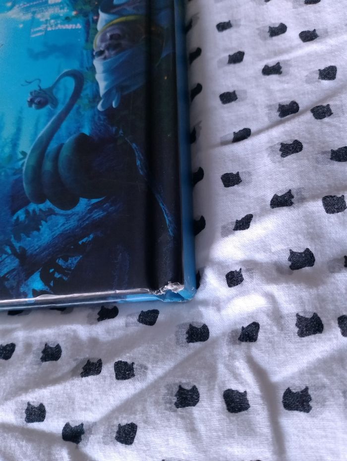 Livre Disney La Princesse et la Grenouille - photo numéro 5