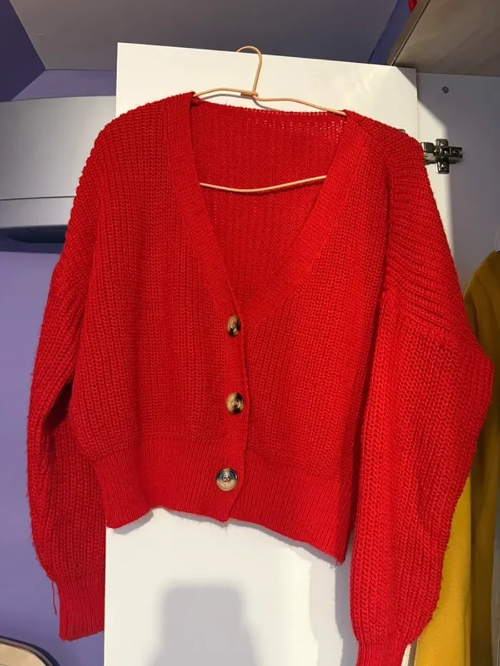 Gilets - photo numéro 2