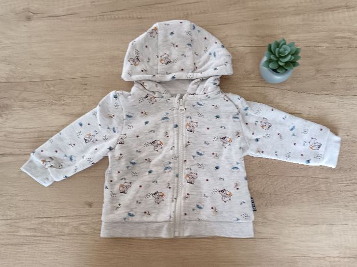 Veste