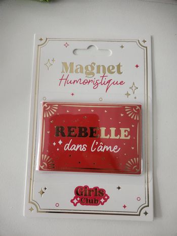 Magnet humoristique