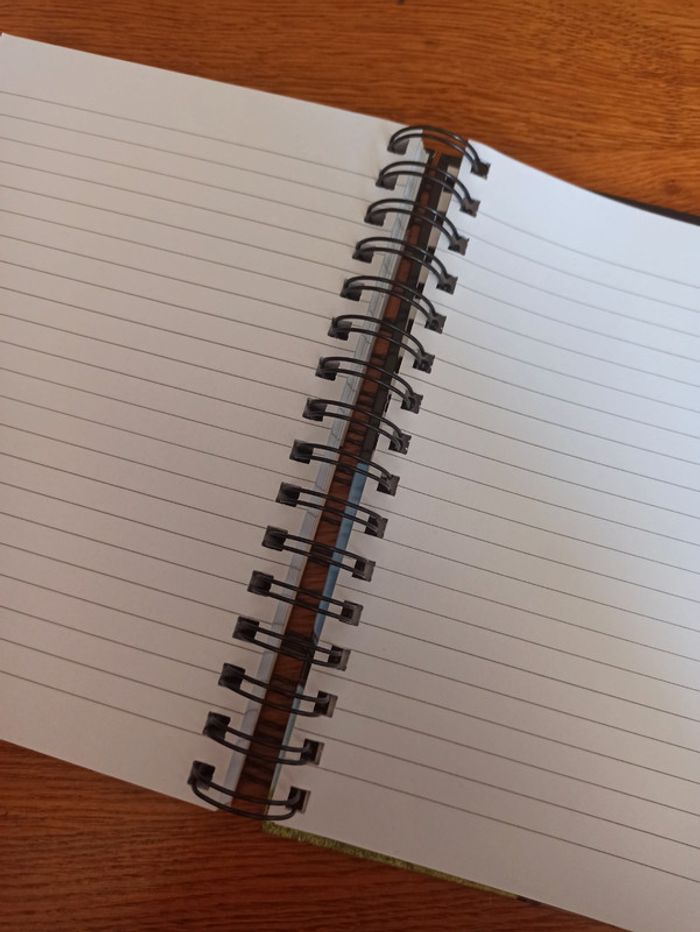 Carnet à spirale - photo numéro 3