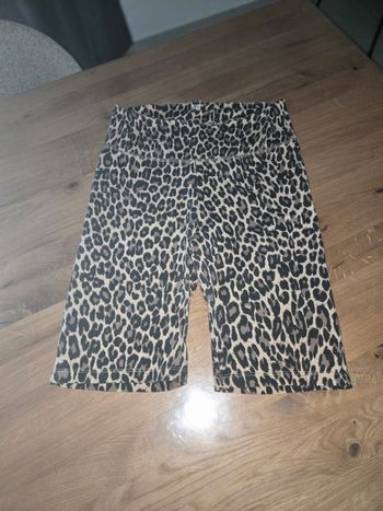 Cycliste léopard 🐆