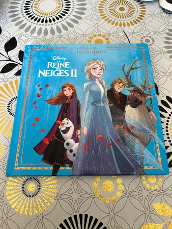 Livre reine des neiges 2