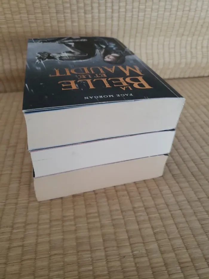 La Belle et le Maudit 3 tomes - photo numéro 4