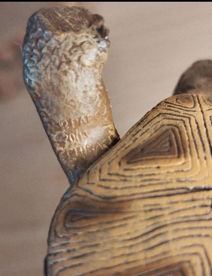 PAPO tortue de terre beige Figurine Animal de la ferme - photo numéro 4