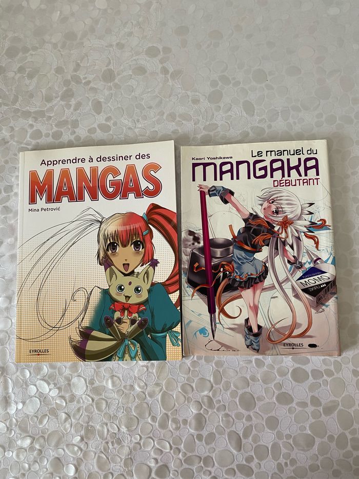 Lot de 2 livres  apprendre à dessiner manga