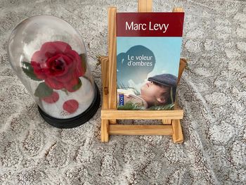 Livre le voleur d’ombres de Marc Levy