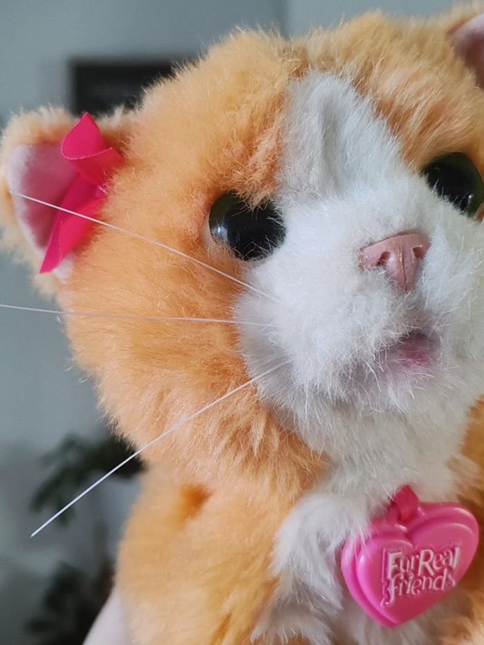 Peluche électronique Daisy mon chat joueur - furreal - photo numéro 3