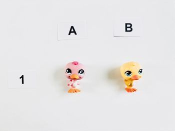 Petshop Canard - 2€ l’unité