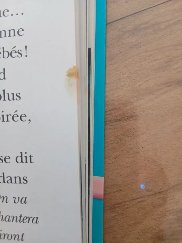 La reine des neiges une nuit chez les trolls bibliothèque rose - photo numéro 4
