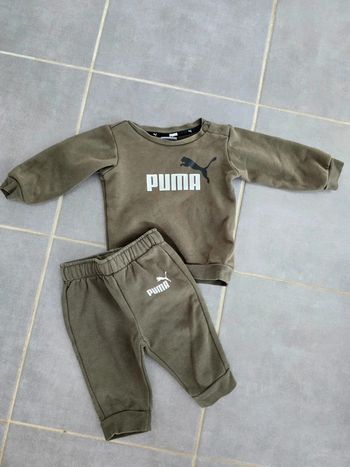 Ensemble Puma kaki