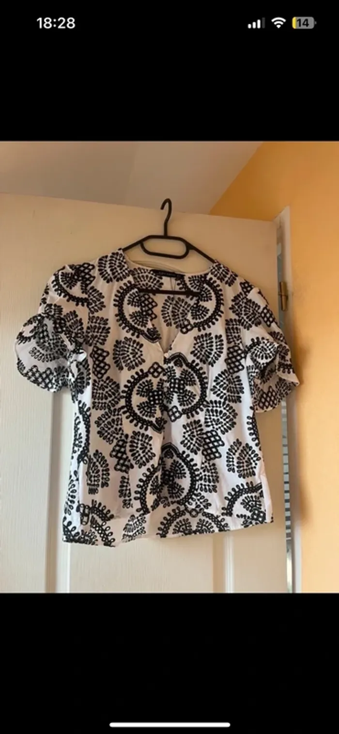Zara Embroidered Button Down V-neck Blouse