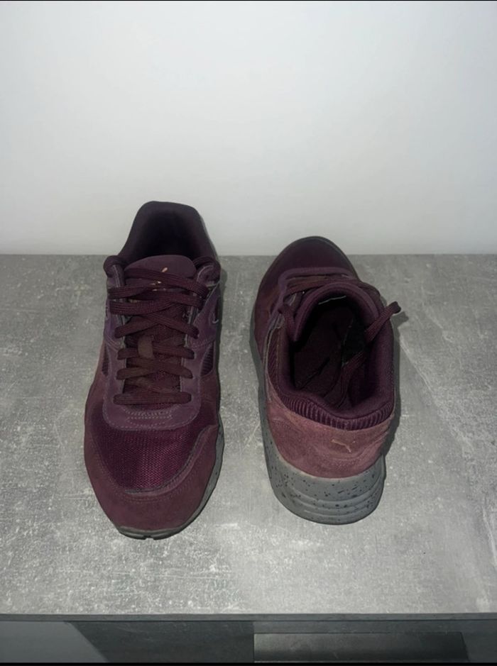 Basket puma