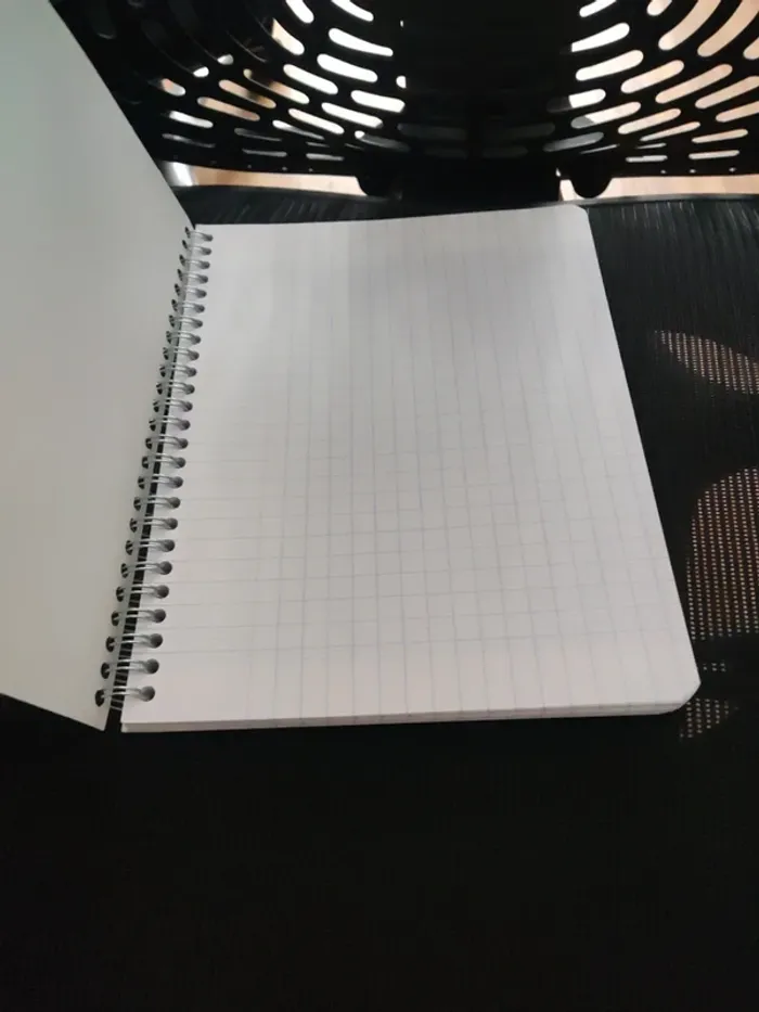 Cahier clairefontaine 180 pages grand carreaux - photo numéro 3