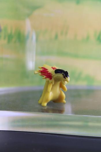 Figurine Pokemeon Typhlosion PK china