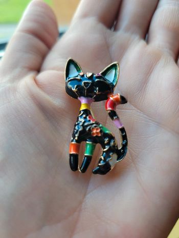 Broche / pendentif chat noir multicolore