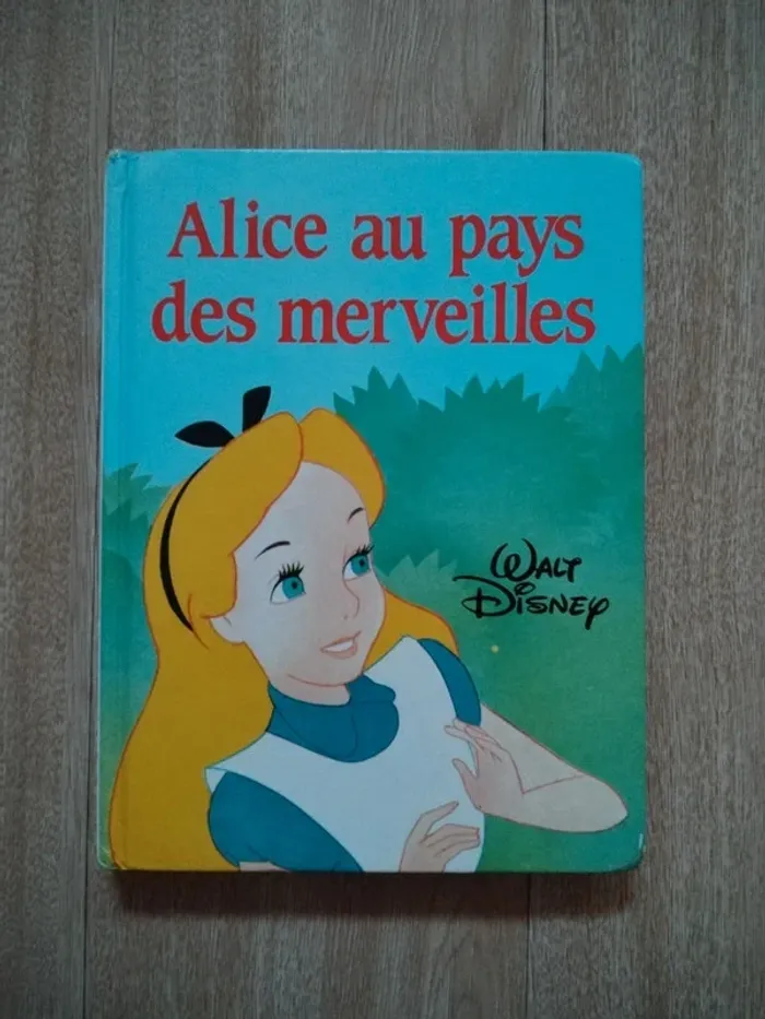 Lot gros livres Disney - photo numéro 2