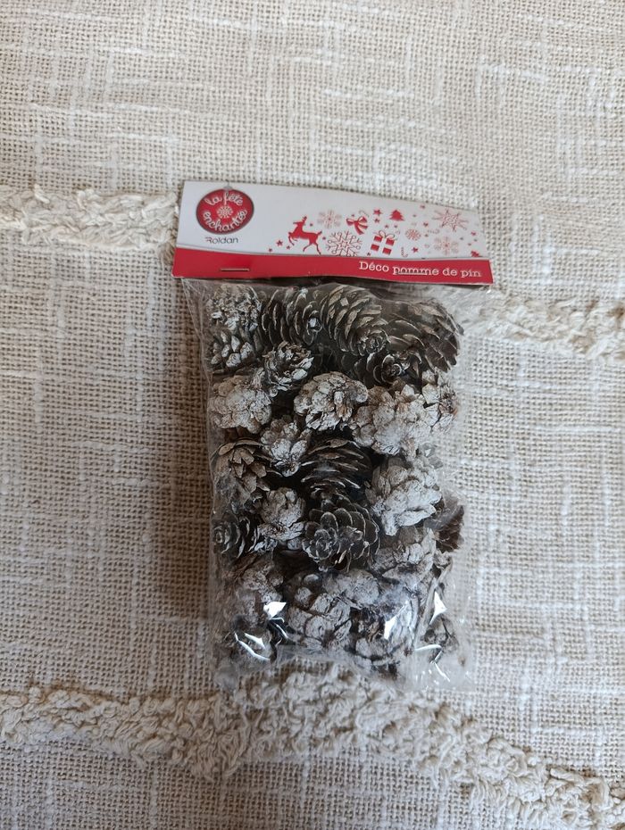 Décoration pommes de pin – effet givré - photo numéro 2