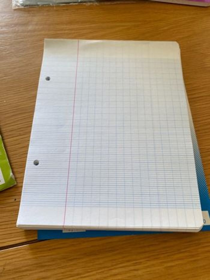 Feuilles 17x22 perforées