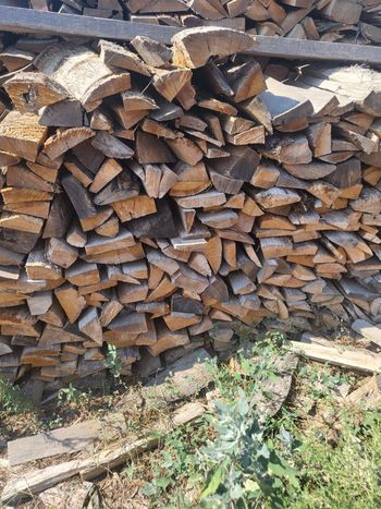 bois de chauffage en stere a 50€