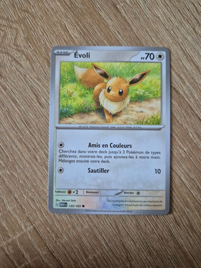 Évoli 151 - photo numéro 1