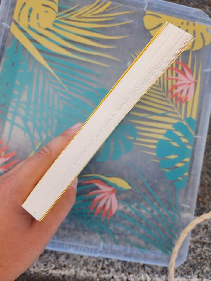 Livre broché "un héros" de Félicité Jerzog - photo numéro 5
