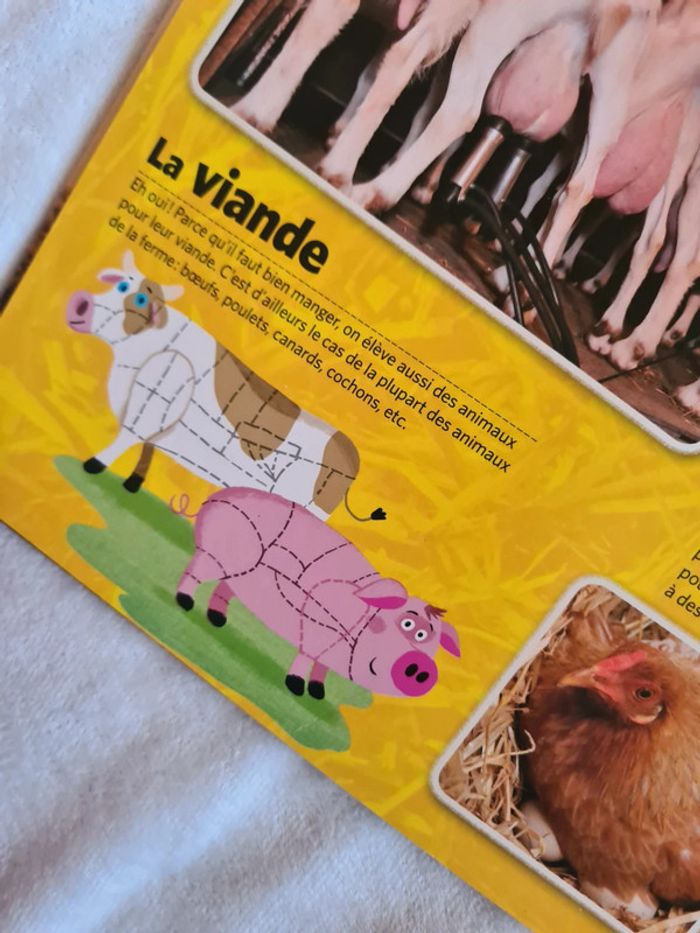 Livre doc à pattes - photo numéro 6