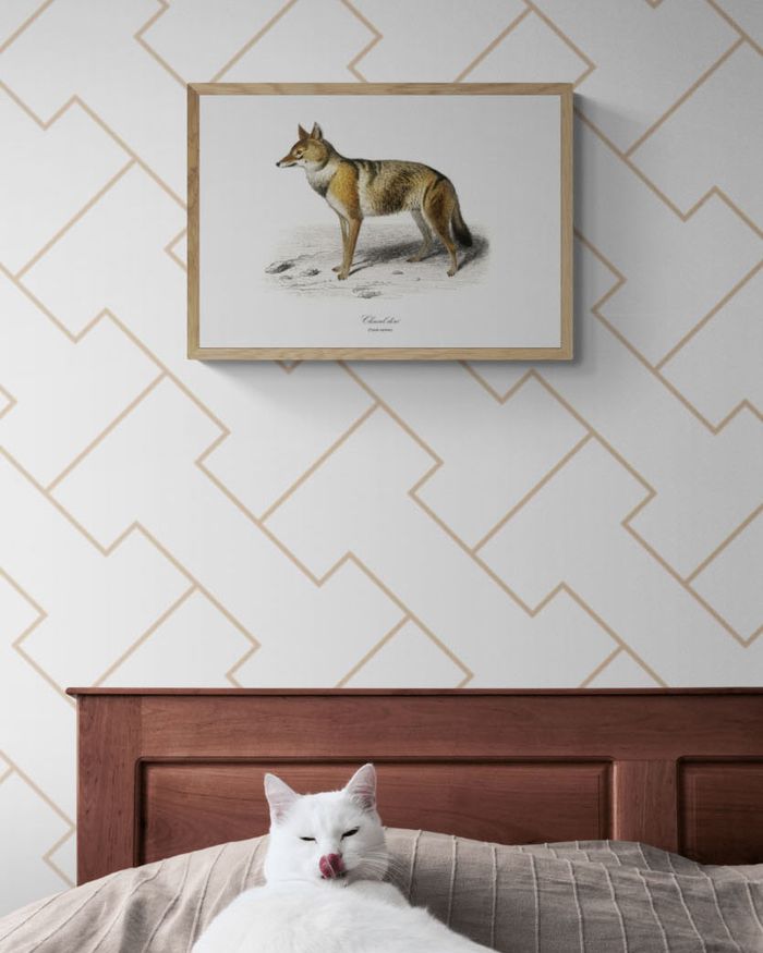 Affiche vintage Chacal - photo numéro 3