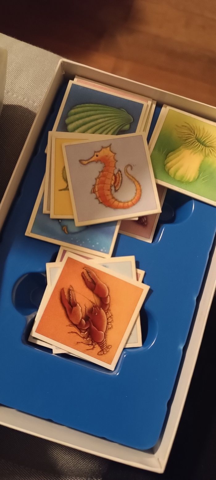 jeux de société loto arc-en-ciel - photo numéro 3