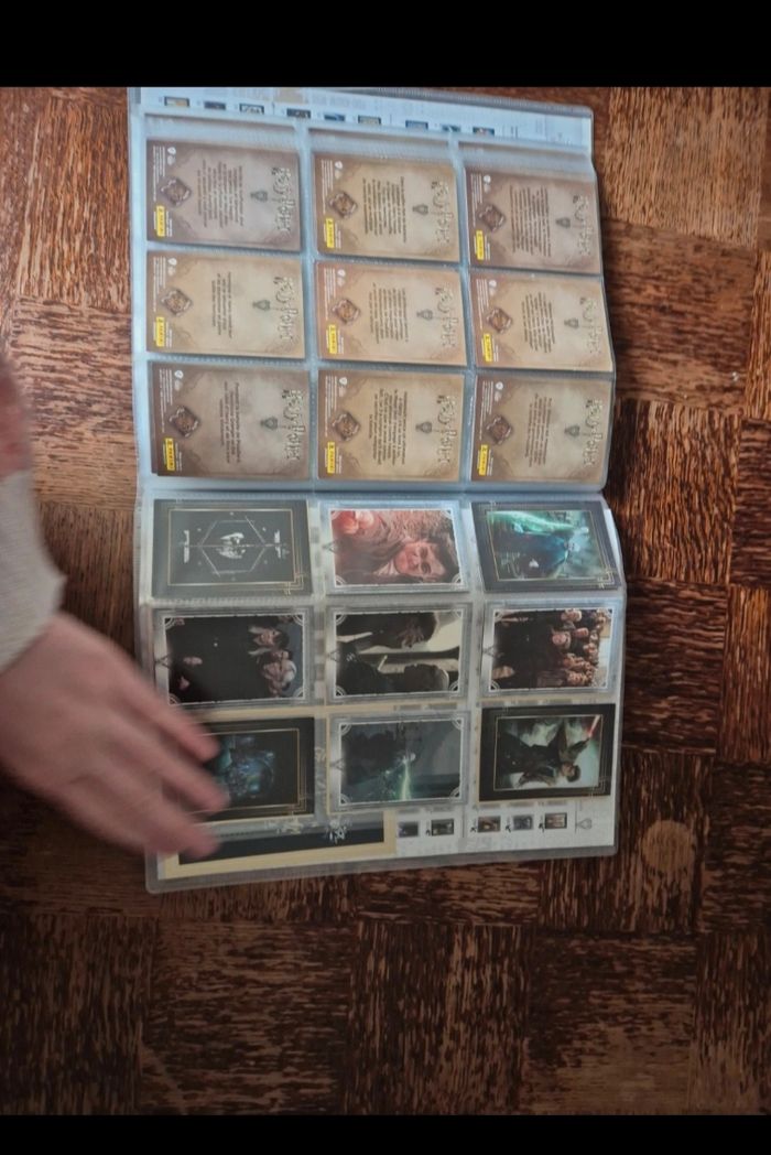 Harry potter panini - photo numéro 6