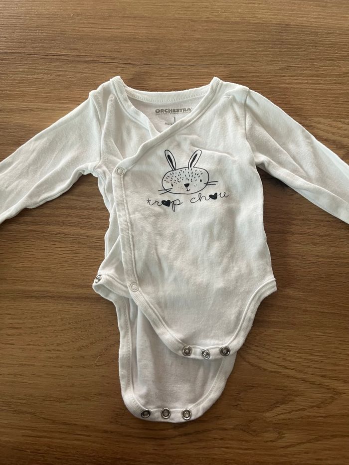 Lot 3 body manches longues - photo numéro 3