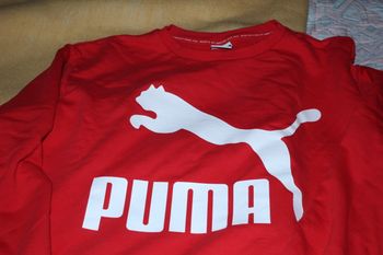 sweat puma 