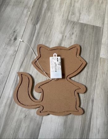 Lumière raton laveur 