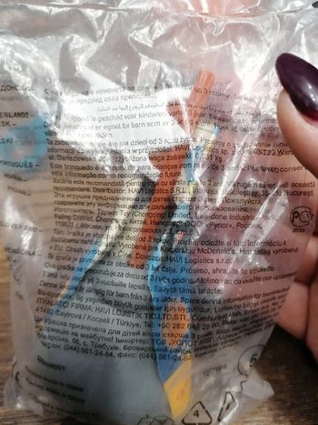 Flynn Happy Meal Age de glace