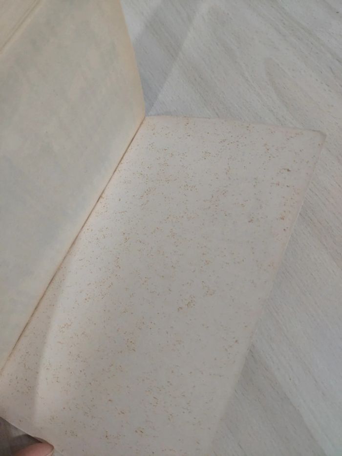 Livre poche les tâches d'encre Bessora - photo numéro 5