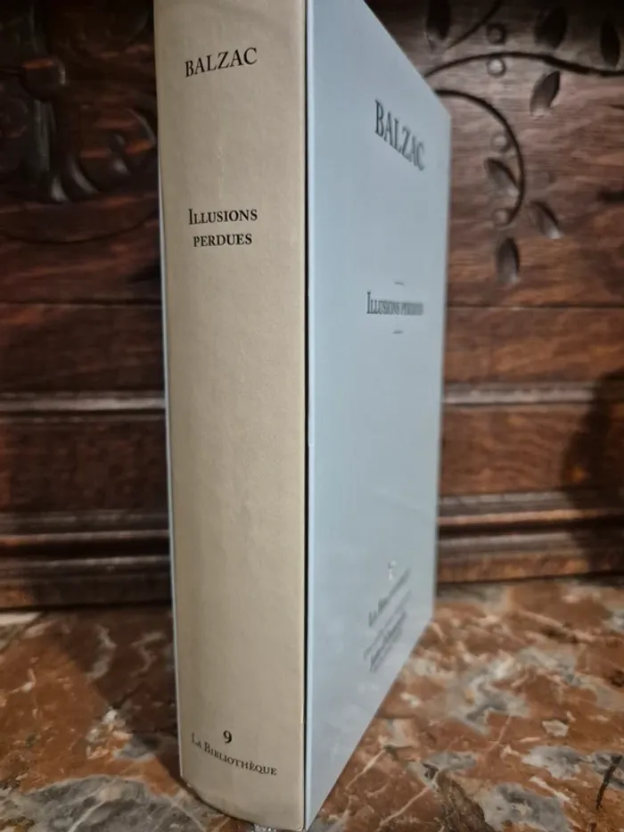 📚 Balzac - Illusions perdues 📚 - photo numéro 3